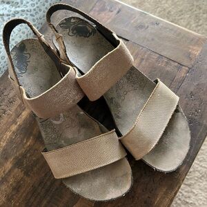 OTBT wedges